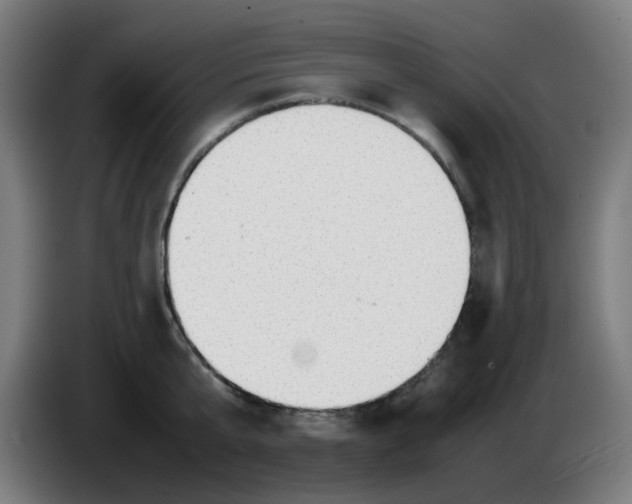 X0000086230807200704261855