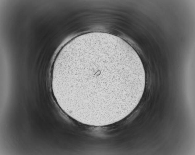 X0000086230808200704261855