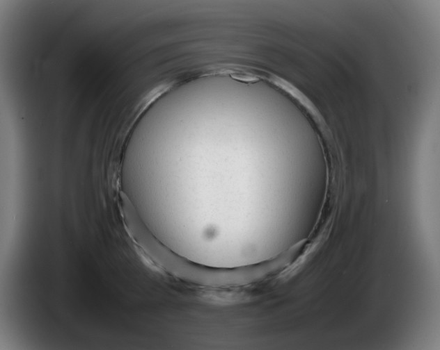 X0000086230809200704261855