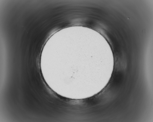 X0000086230810200704261855