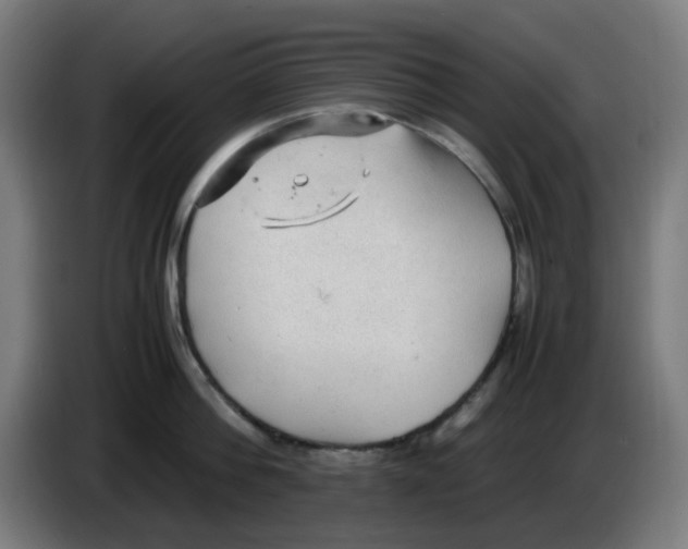 X0000086230812200704261855