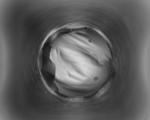 X0000086230813200704261855