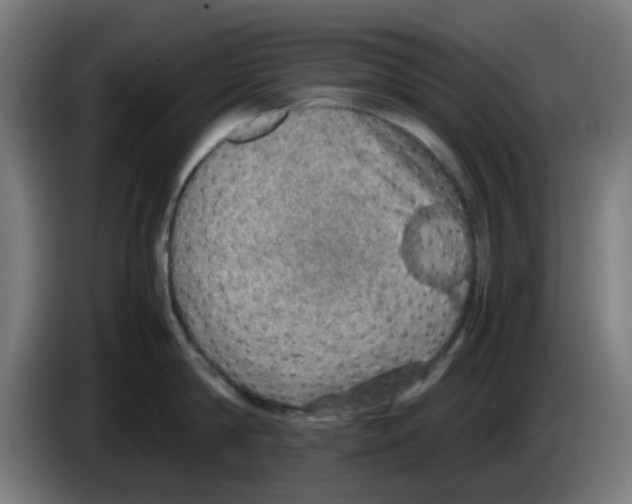 X0000086230814200704261855