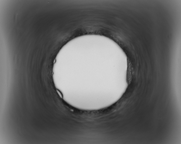 X0000086230817200704261854