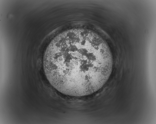 X0000086230821200704261854