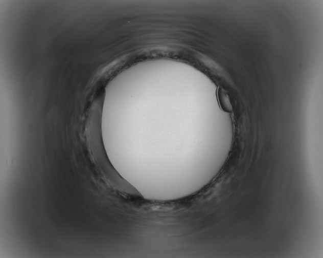 X0000086230822200704261854