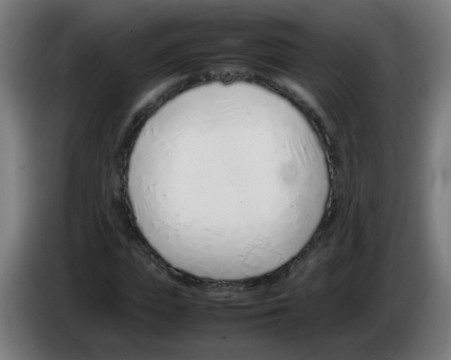 X0000086230823200704261854