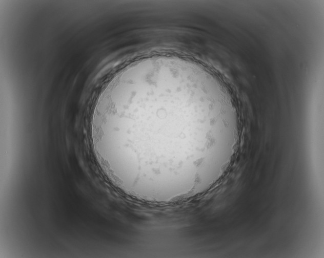 X0000086230824200704261854