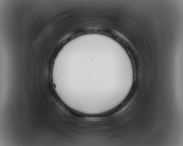 X0000086230825200704261854