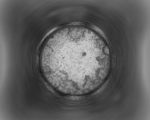 X0000086230827200704261854