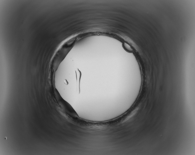 X0000086230830200704261854