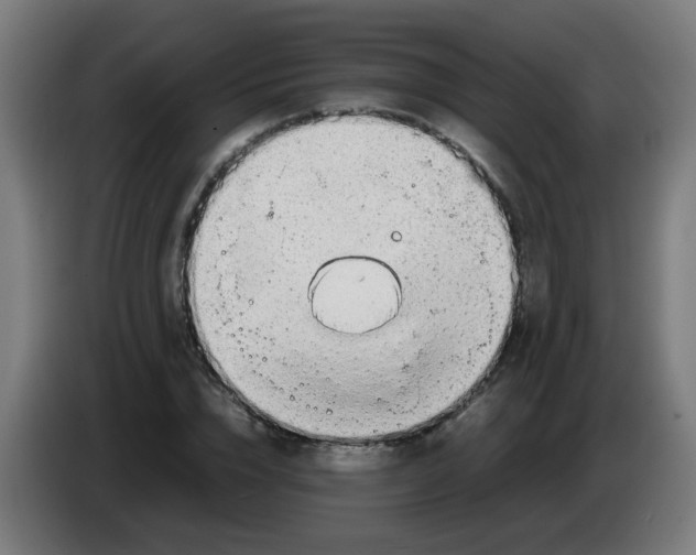 X0000086230832200704261854