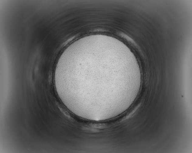 X0000086230833200704261854