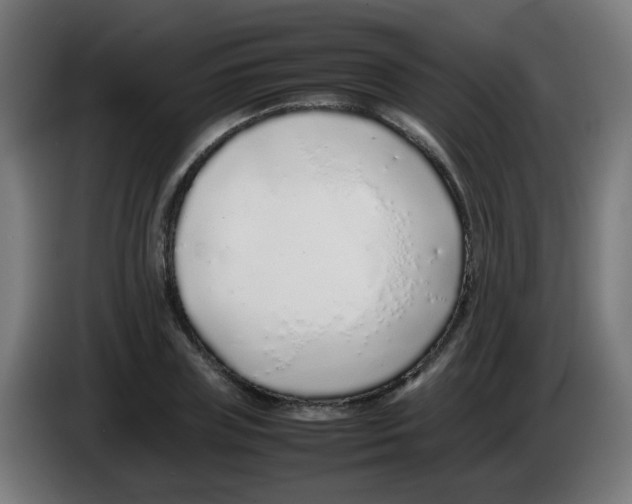 X0000086230835200704261854