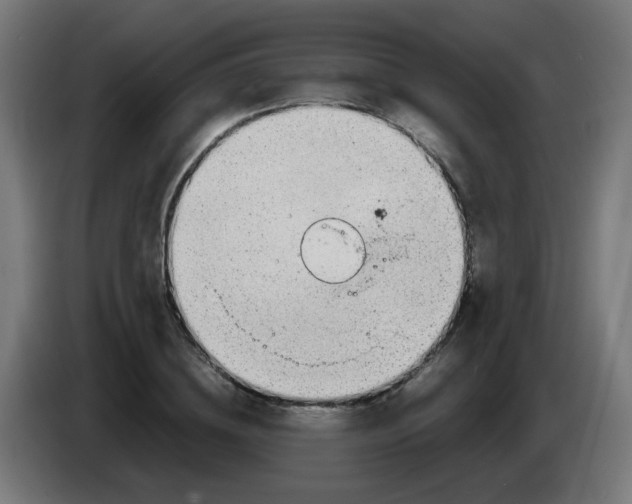 X0000086230836200704261854