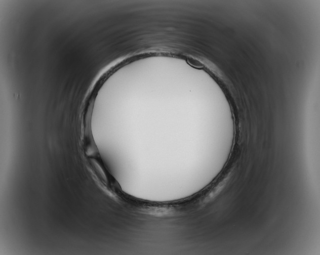 X0000086230838200704261854