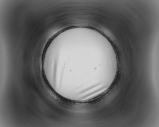 X0000086230840200704261854