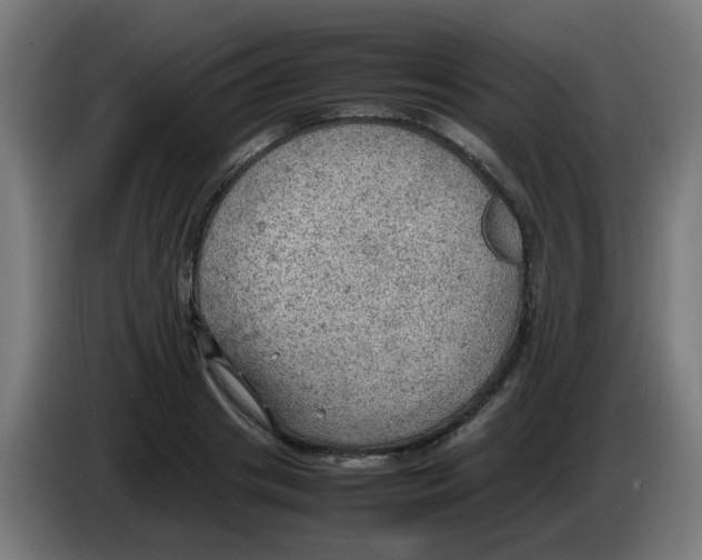 X0000086230841200704261854