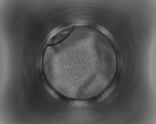 X0000086230842200704261854