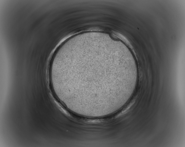 X0000086230843200704261854