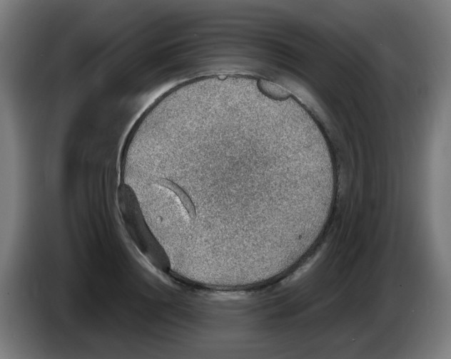 X0000086230844200704261854