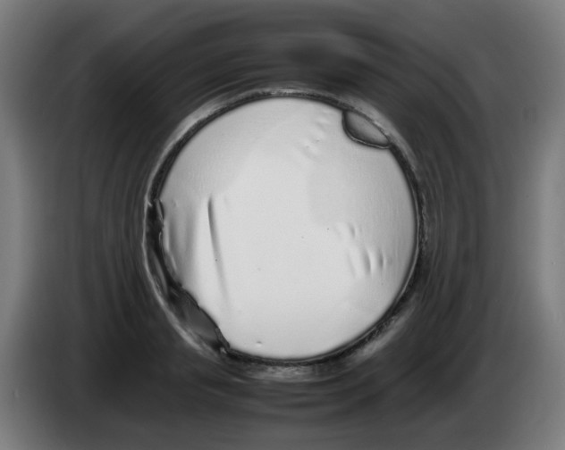 X0000086230845200704261854