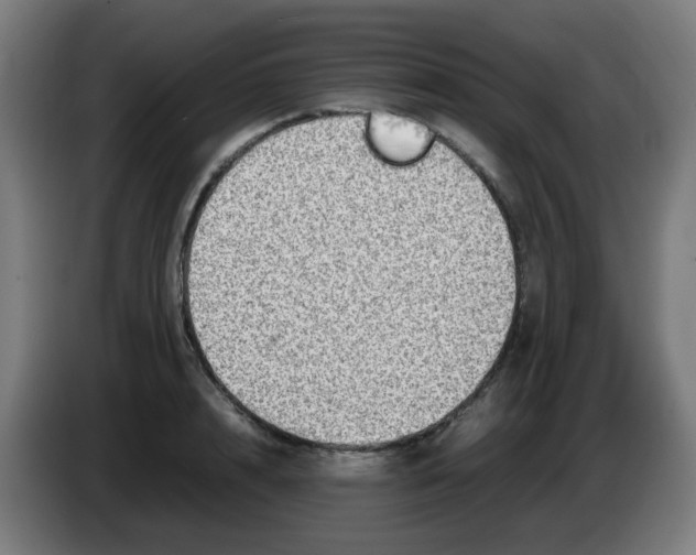 X0000086230848200704261855