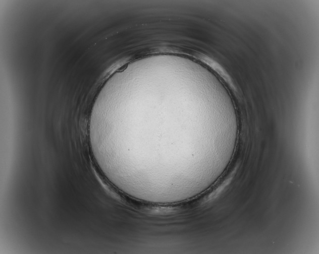 X0000086230849200704261855