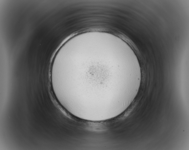 X0000086230852200704261855