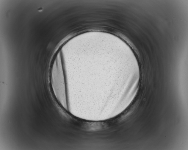 X0000086230853200704261855