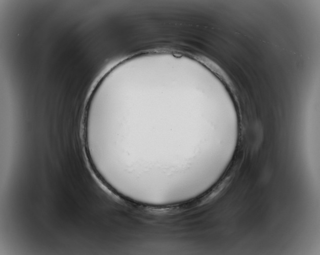 X0000086230855200704261855