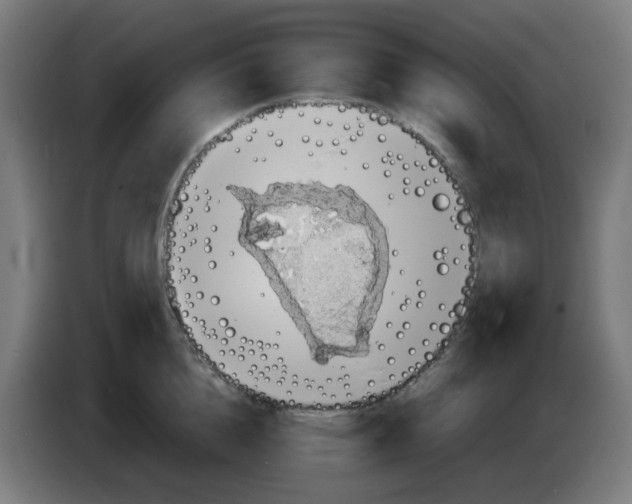 X0000086230856200704261855