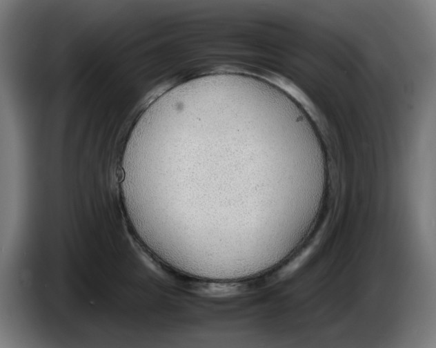 X0000086230857200704261855