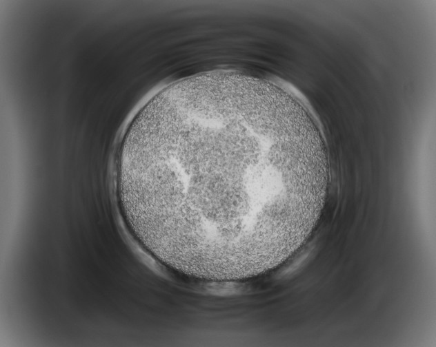 X0000086230859200704261855