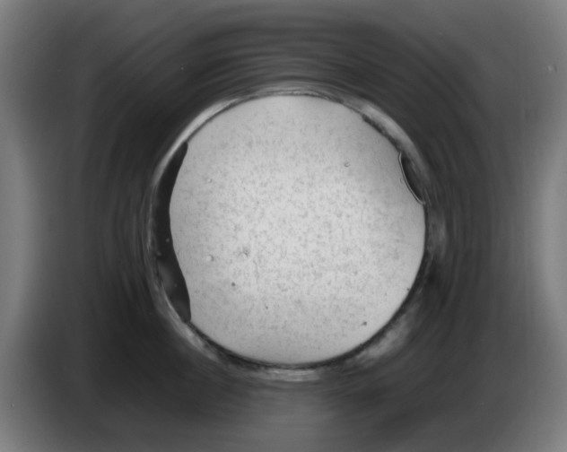 X0000086230860200704261855