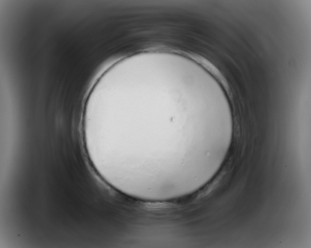 X0000086230863200704261855