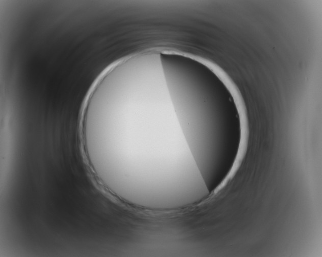 X0000086230864200704261855