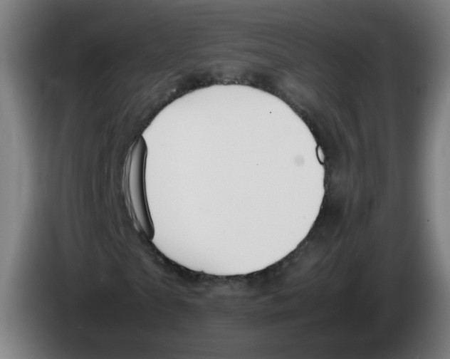 X0000086230865200704261854