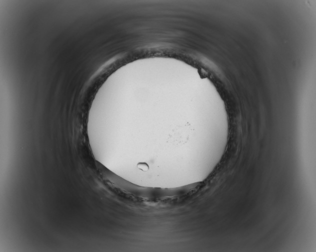 X0000086230872200704261854