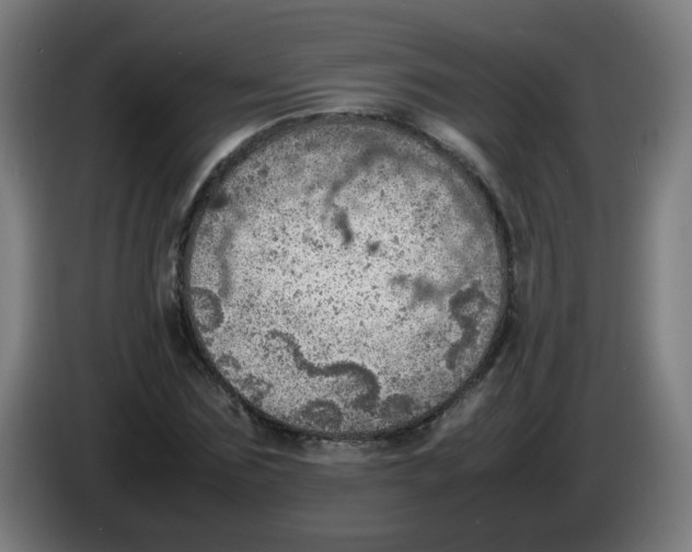 X0000086230875200704261854