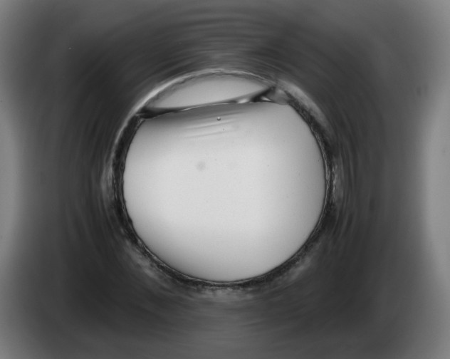 X0000086230876200704261854