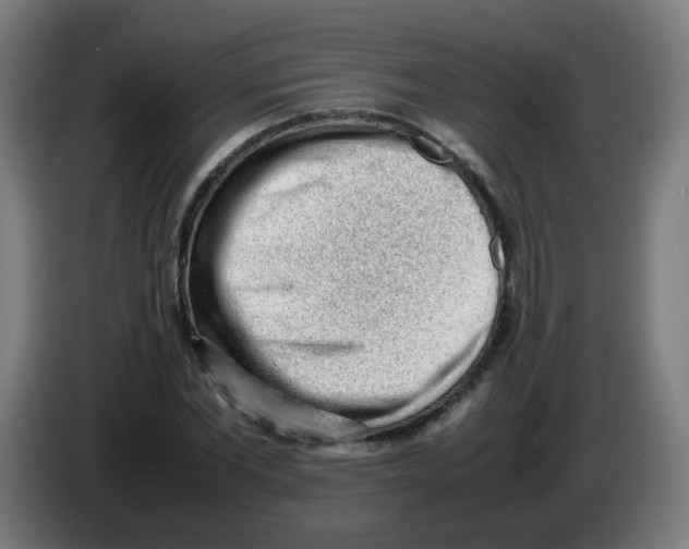 X0000086230877200704261854