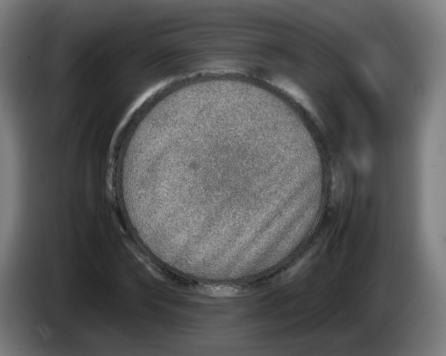 X0000086230878200704261854