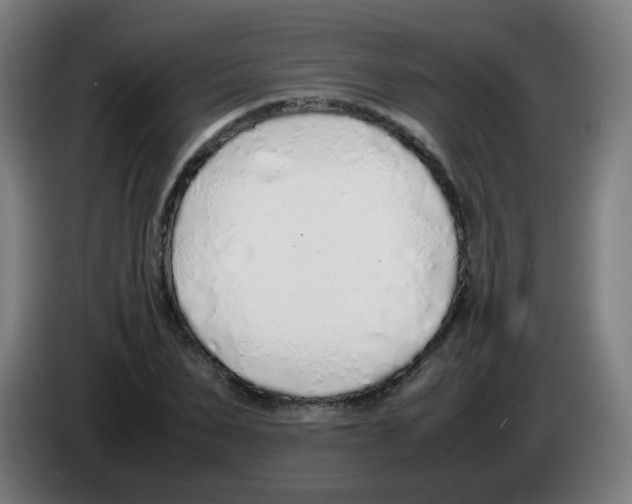 X0000086230879200704261854