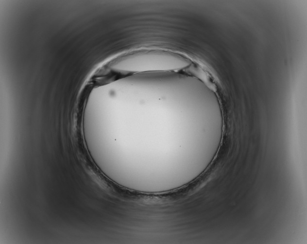 X0000086230880200704261854