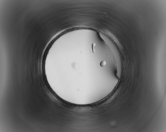 X0000086230884200704261854