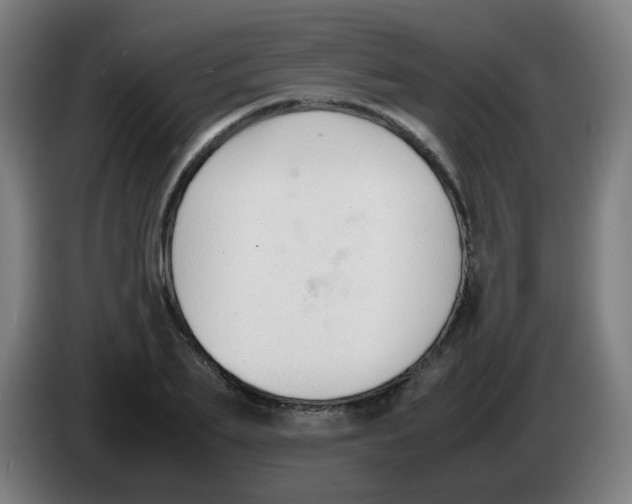 X0000086230887200704261854