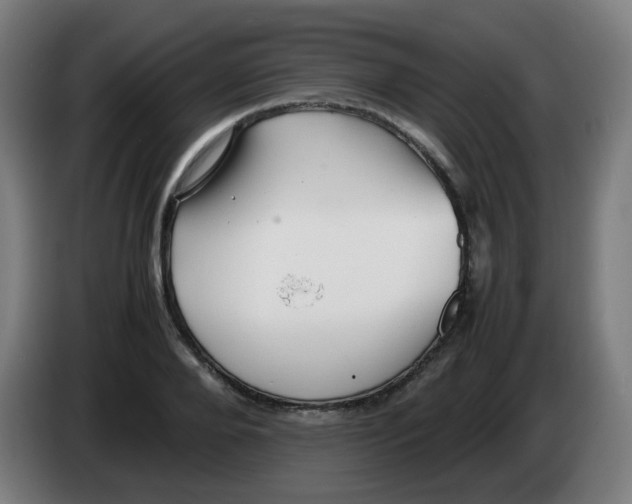 X0000086230888200704261854