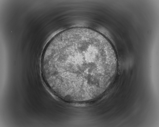 X0000086230890200704261854