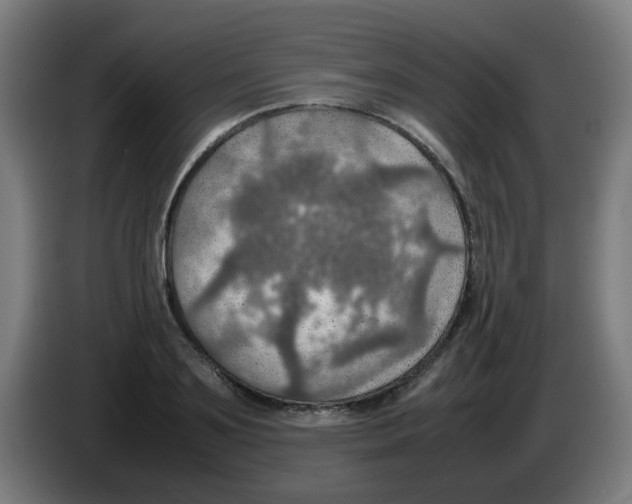 X0000086230891200704261854